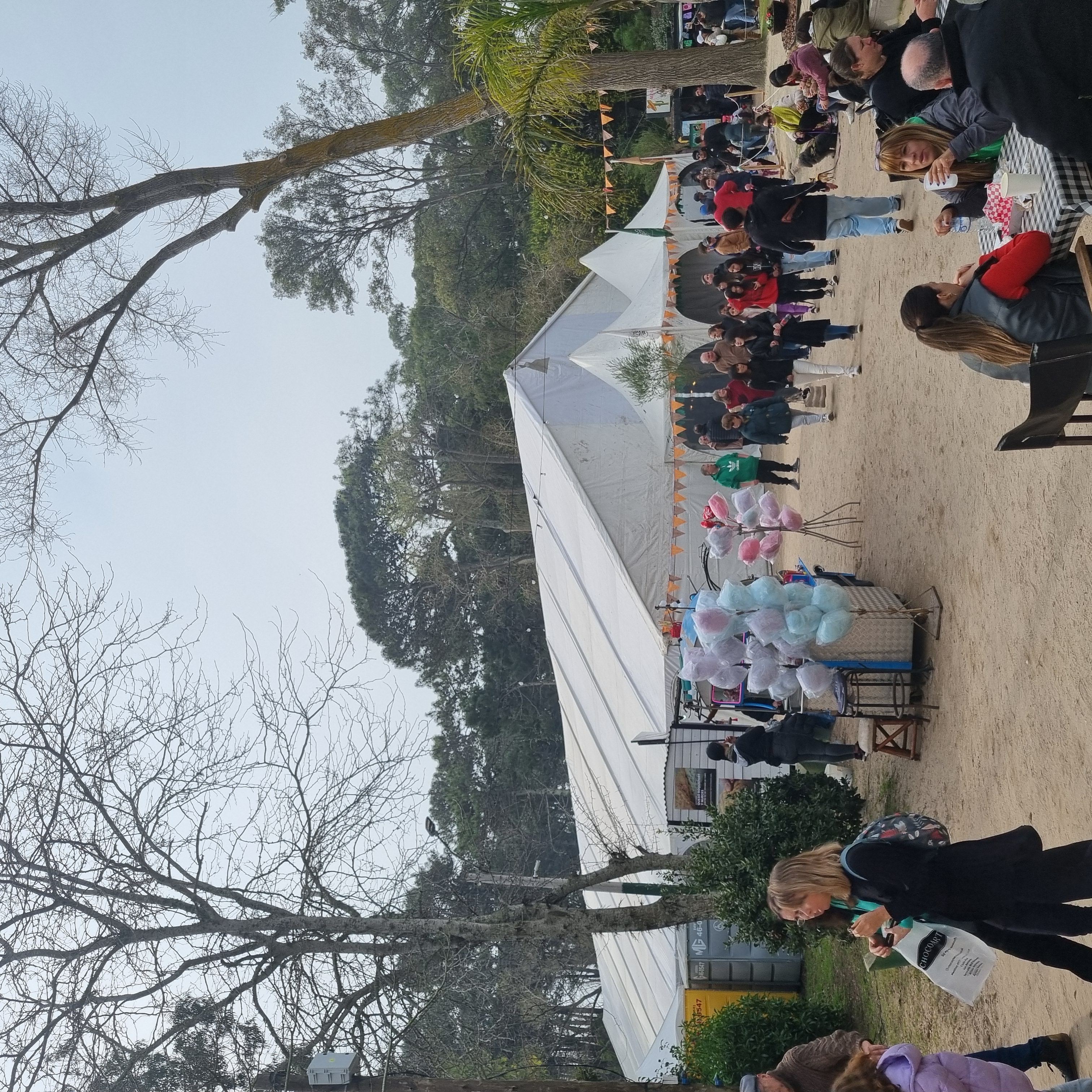 Montaje carpa estructural